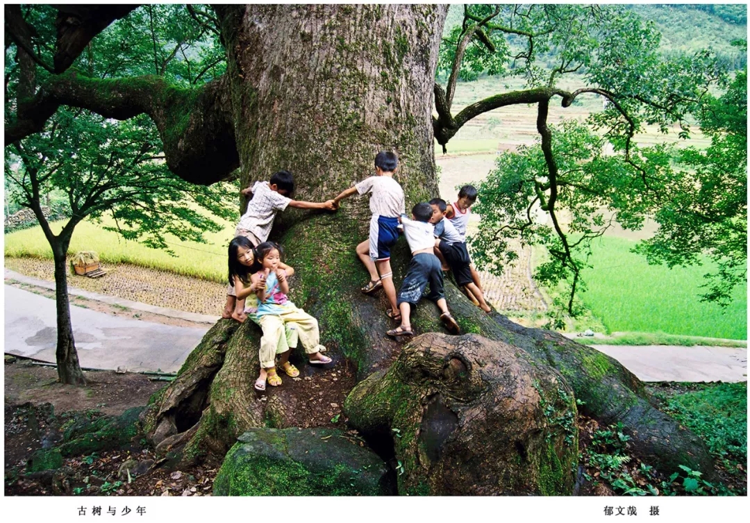 640.webp (6).jpg