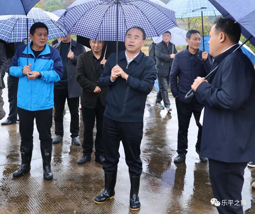 吴艳调研重点工业项目用地规划及保障工作