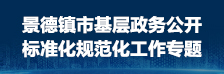基层政务公开“两化”