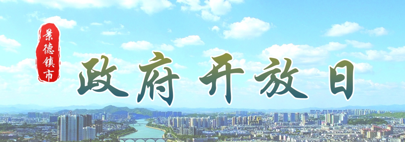 政府开放日
